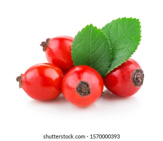 Rosehip With Leaves Isolated On A White Background