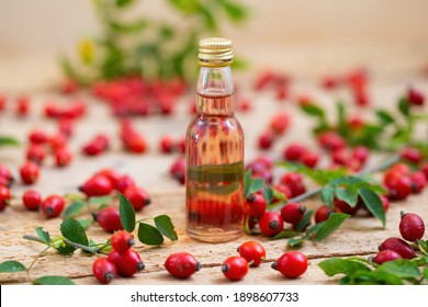 Rosehip oil in glass bottle with berries around from close up. Raw liquid from little red fruit on wooden desk. Small jar of drink from seeds.