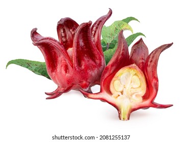 Roselle fruits isolated on white, Hibiscus Sabdariffa or Roselle fruits isolated on white background. With clipping path.