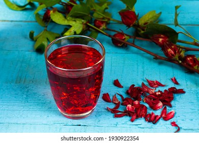 Roselle Tea Or Hibiscus Sabdariffa Juice In Transparent Glass And Fresh Roselle On Blue Wooden Background. Drink Herbal Water For Health Care.