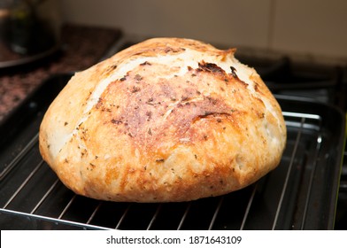 Rosemary And Garlic Overnight Bread Hand Made At Home Ina Dutch Oven