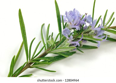 43,757 Rosemary flowers Images, Stock Photos & Vectors | Shutterstock