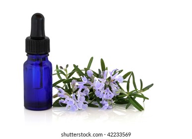 Rosmarin Kräuterblattsprig mit Blumen und Aromatherapie ätherische Öl-Glasflasche auf weißem Hintergrund.