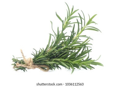 Rosemary Isolated On White Background