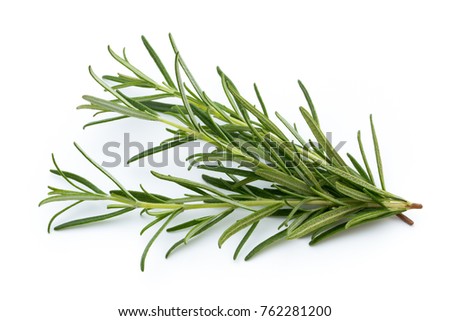 Rosemary isolated on white background, Top view.
