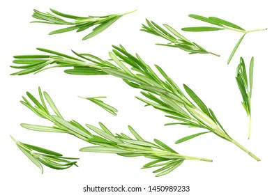 Rosemary Isolated On White Background Full Stock Photo 1751983175 ...