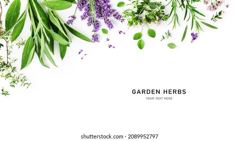 Rosemary, mint, lavender, marjoram, sage, lemon balm and thyme layout. Creative frame with fresh herbs on white background. Top view, flat lay. Healthy eating and alternative medicine concept