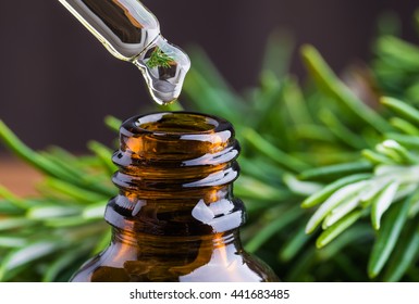 Rosemary Oil Bottle And Dropper. Essential Beauty Oil, Aromatherapy, Natural Remedies.