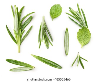 Rosemary Twig And Mint Isolated On A White Background