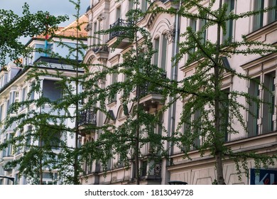 Rosenheim, Germany - April 27, 2019: Trees on the street of Rosenheim, Bavaria, Germany 