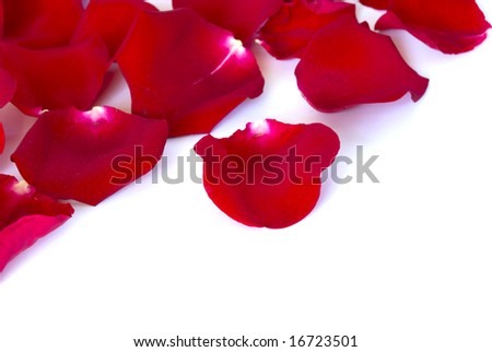 rosepetals
