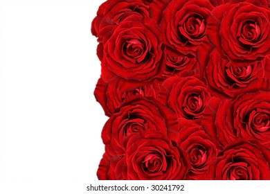 Roses Background Copy Space Stock Photo 30241792 | Shutterstock