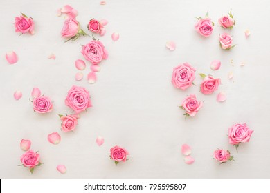 Roses Background. Various Pink Roses Buds And Petals  Scattered On White Background, Overhead View, Copy Space