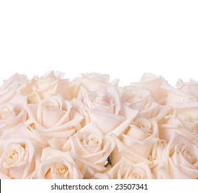 30,068 Fresh rose border white background Images, Stock Photos ...