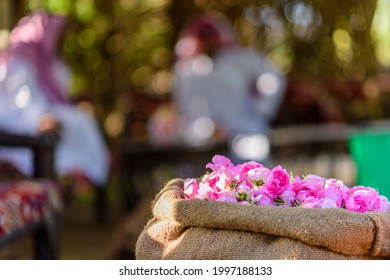 Roses in the city of Taif in the Kingdom of Saudi Arabia are considered one of the most expensive types of roses in the world - Shutterstock ID 1997188133