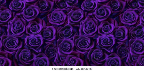 Roses in dark purple color, horizontal seamless pattern. Roses arrangement in violet, purple and blue modern gothic style.