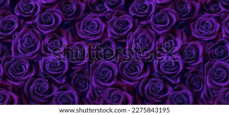 Roses in dark purple color, horizontal seamless pattern. Roses arrangement in violet, purple and blue modern gothic style.