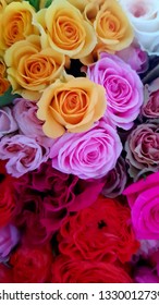 Roses Grown In A Flower Farm On The North Shore Of Lake Naivasha, Kenya