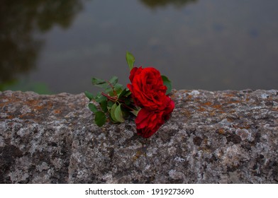 Roses Laying On The Fence Of Roman Bridge At Bright Day In Sarajevo, Bosnia And Herzegovina