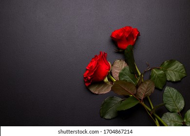 Trauer Rose Images Stock Photos Vectors Shutterstock