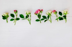 Macro on pink flowers, a Nature Photo by MeHi