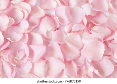 Roses Petals Background 