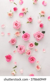 Roses And Petals Background. Roses And Petals Scattered On White Background, Overhead View 