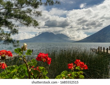 Roses Volcano View Lake Atitlan Guatemala Central America Pier