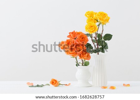roses in white vase on white background