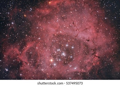 Rosette Nebula