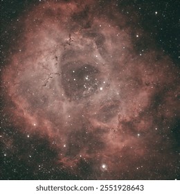 Rosette Nebula deep sky object.