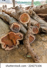 Rosewood Of Firewood Logs.