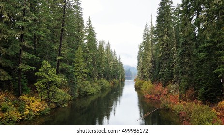 Roslyn, Washington Wenatchee National Forest