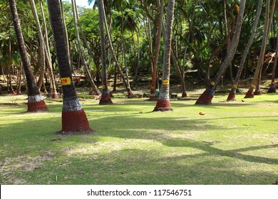 Ross Island, Andamans, India