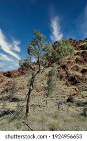 The Ross River Valley In The Northern Territory