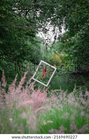 Image, Stock Photo Appearance in the garden