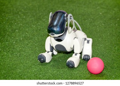 Imágenes Fotos De Stock Y Vectores Sobre Ai Games - 2016 november robot dog code roblox