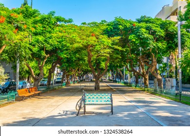 Rothschild Boulevard In Tel Aviv, Israel