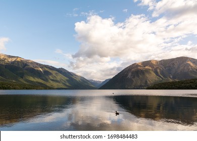 Rotoiti Lake - Nelson Lakes National Park, New Zealand.

Photograph of the lake reflecting mountains and celestial sky with clouds and the figure of a duck.  - Powered by Shutterstock