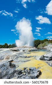 Rotorua Geyser New Zealand