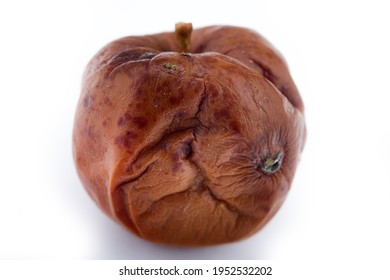 Rotten Apple As Symbol Of Loss Of Health, Lack Of Integrity, Lose Virginity, Senescence. Old Paris Gives Apple To Old Aphrodite, But Goddess Is Always Rejuvenated (skin Resurfacing Concept)