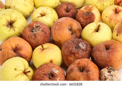 Rotten Apples