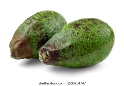 Rotten Avocado From The Fridge, Spoiled Fruits. Isolated On White Background. Drops Of Condensation On The Skin. Storage Violation. Green Berry.