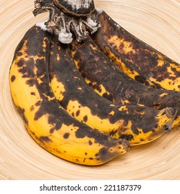 Rotten Banana