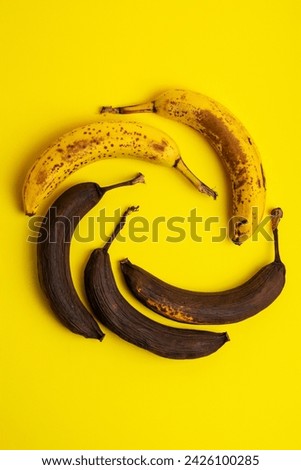 Rotten bananas on a yellow background from above. Bananas that are beginning to spoil and bananas that have already spoiled. Yellow and brown spoiled bananas. Food waste.