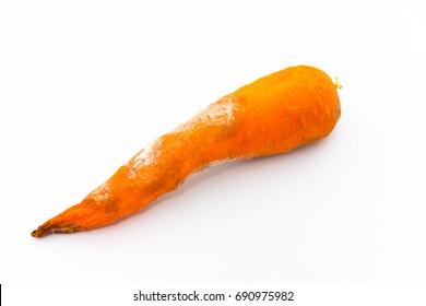 Rotten Carrot White Background. 