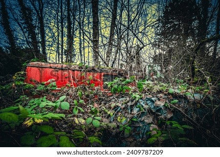 The rotten cars in an abandoned garden