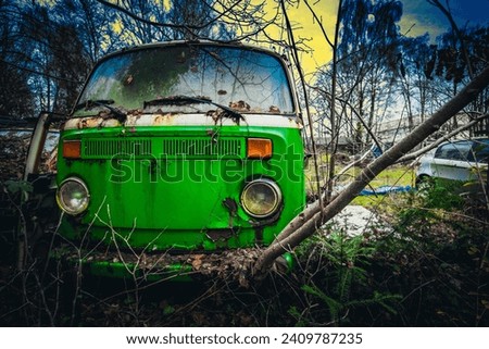 The rotten cars in an abandoned garden