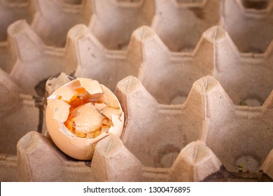 Rotten Egg Eggs