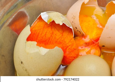 Rotten Eggs In Bowl. Bad Eggs Are Not For Eating And They Have Terrible Smell